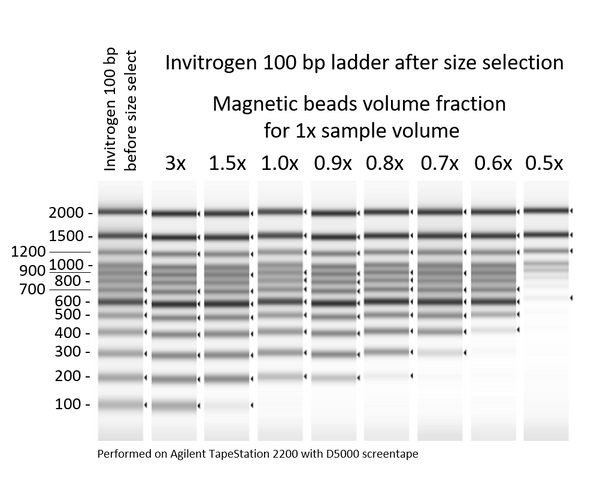 Magnetic beads for DNA purification