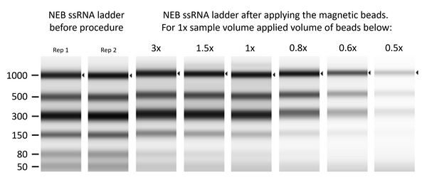 Magnetic beads for RNA purification