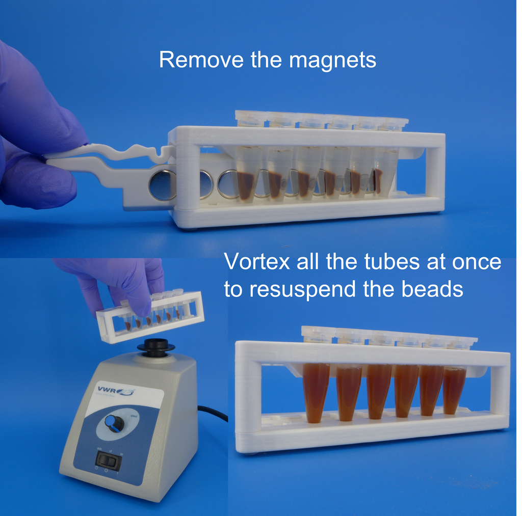 Magnetic rack for DNA, RNA purification; for 1.5 mL centrifuge tubes ...