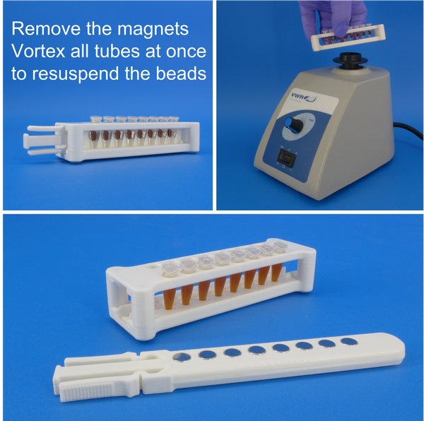 Magnetic rack for DNA, RNA purification; for 100-250 microliter PCR tubes, fits 16 tubes, with removable magnets