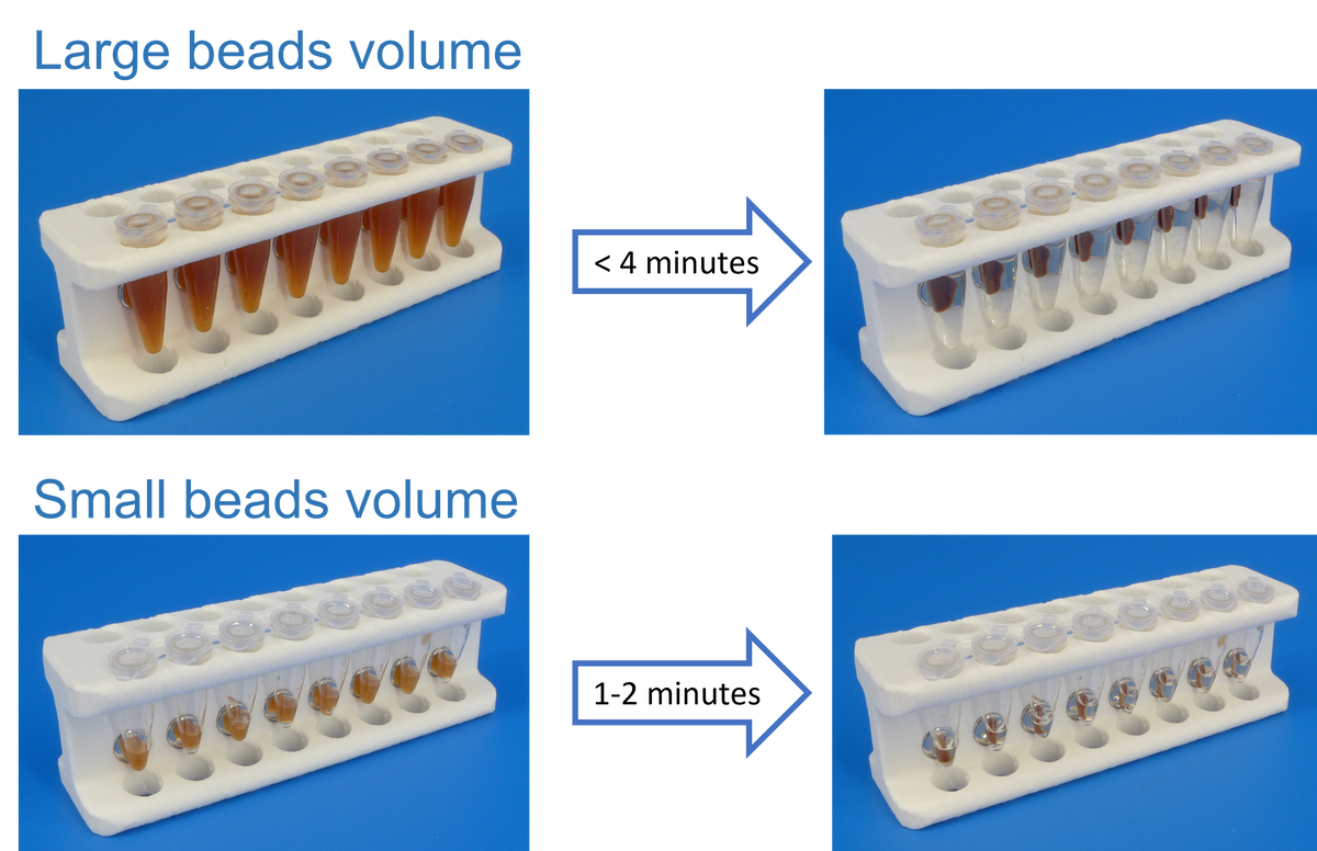 Magnetic rack for PCR tubes (100-300 uL) for DNA, RNA and other molecu ...